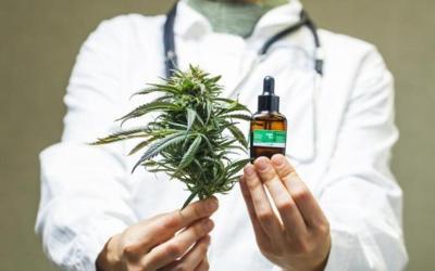 Crean un registro de eficacia del cannabis medicinal en más de 20 enfermedades