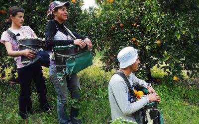 Piden a empresarios colaborar con fondos para las obras sociales de trabajadores rurales